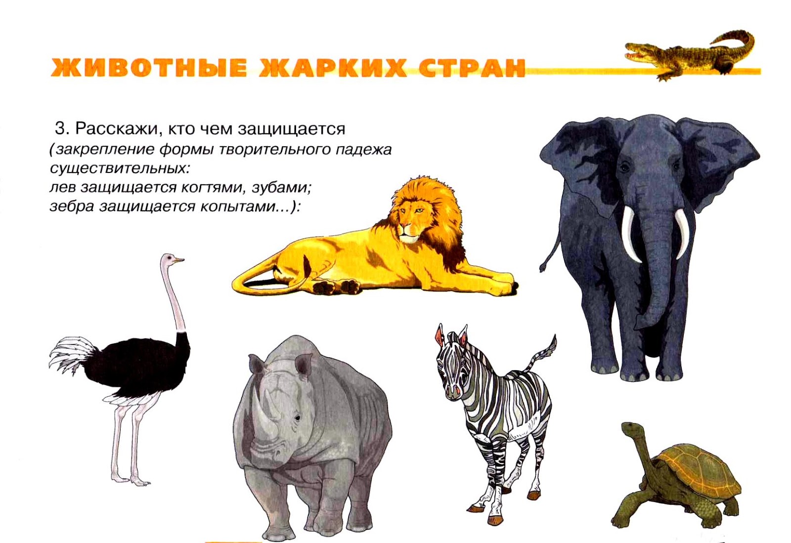 Тема животные жарких стран